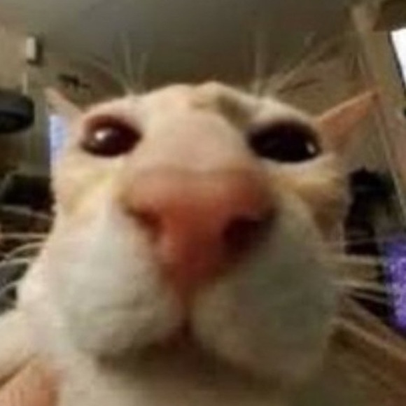 stefsblen